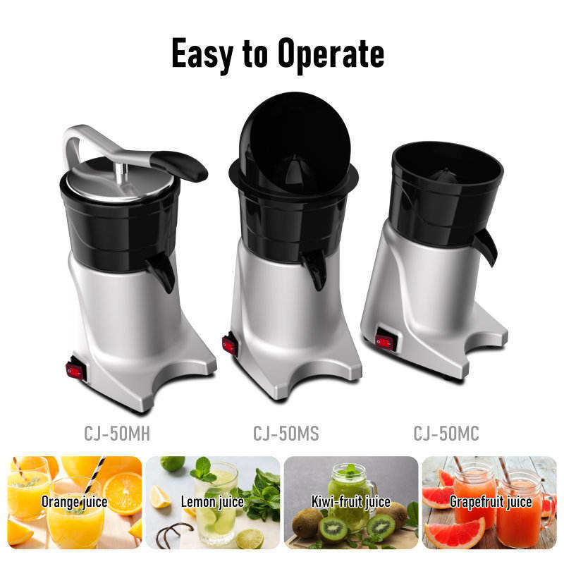 Electrodoméstico de Cocina, Li - Kitchen Appliances Are reseña y precio